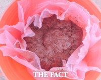  충남도, 액젓 찌꺼기로 김 황백화 치료제 개발