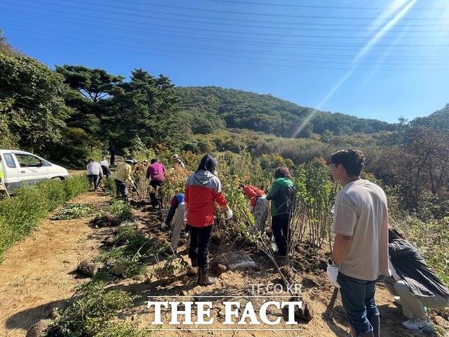 양주시 남면 주민들과 탄소추진위원회 회원들이 감악산에서 나무를 식재하고 있다. /양주시 제공