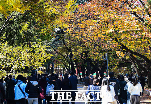 완연한 가을날씨를 보인 6일 오전 서울 중구 덕수궁을 찾은 시민들이 단풍을 보며 가을 정취를 느끼고 있다.