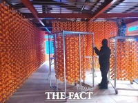  지리산 함양곶감 만들기 한창,12월 초 선보일 예정