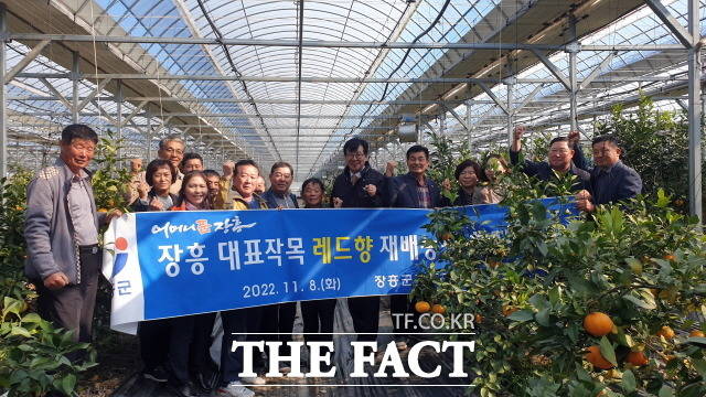 김성 군수가 레드향 재배 현장을 방문했다/장흥군 제공