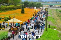  [전남 단신] 장성 황룡강 ‘가을꽃 효과’에 10월에만 77만 명 방문 등
