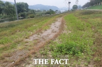  [대전 행감] 이금선 대전시의원 '5억 들인 갑천 꽃단지 잡초만 무성'