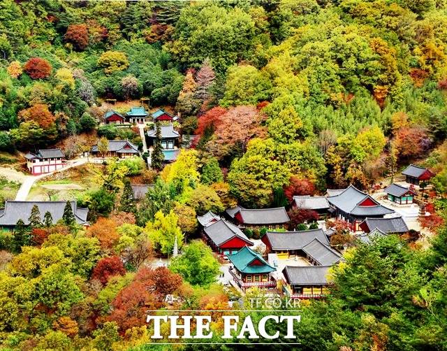 지리산 쌍계사와 불일폭포 일원이 국가지정문화재 ‘명승’으로 지정됐다./하동군 제공