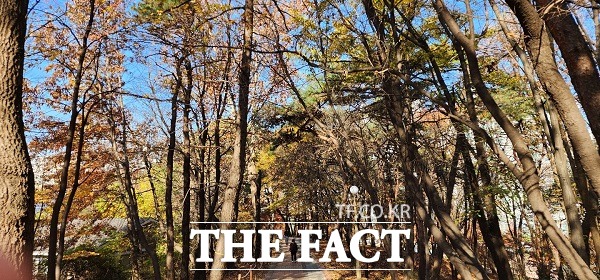 진재공원의 한켠. 겨울의 초입처럼 보인다. /청주=이주현 기자.