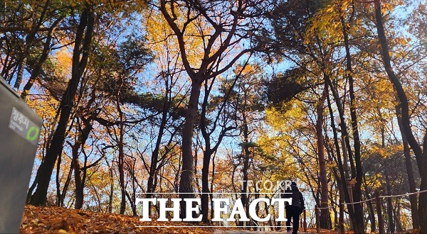 한 시민이 진재공원을 산책하고 있다. /청주=이주현 기자.