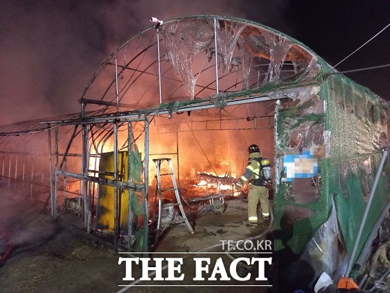 경북 성주군 대가면 한 비닐하우스에서 불이나 소방이 진화 중이다./경북소방본부 제공
