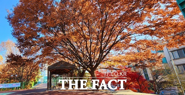 가을옷을 입은 진재공원. 단풍잎이 가을의 끝자락을 달리듯 차분해 보인다. /청주=이주현 기자.