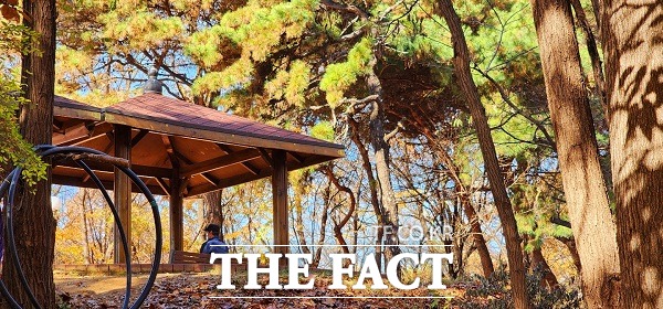 진재공원에서 휴식을 취하고 있는 한 청주시민이 보인다. /청주=이주현 기자