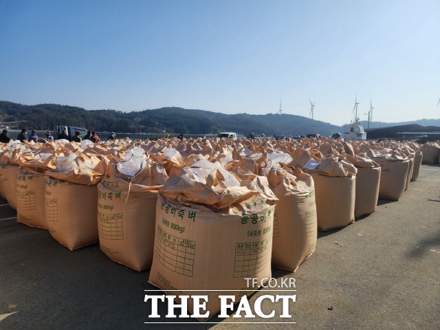 완도군이 공공비축미곡 및 시장격리곡 올해 4000톤 매입한다/완도군 제공