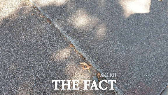 자전거도로가 파손돼 높낮이 차가 발생한 모습 / 대전=최영규 기자