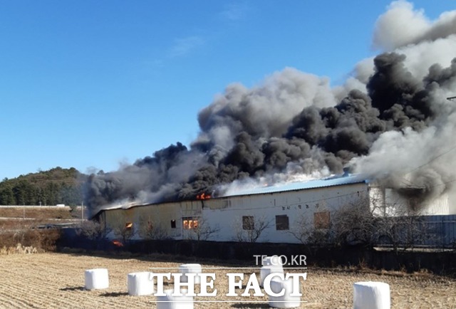 경북 영천의 한 한약재 창고에서 불이 나 검은 연기가 치솟고 있다. /영천소방서 제공