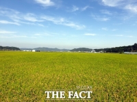  익산시, 지역 쌀 생산량 30% 판로확보…즉석밥·급식시장 납품
