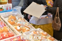  부산 소비자물가 상승률, 7개월 만에 한풀 꺾여