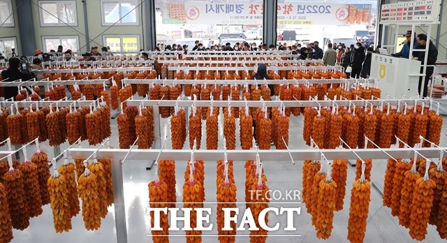 5일 경남 함양군 서하면 곶감 경매장에서 지리산 함양 곶감 초매식이 진행되고 있다./함양군 제공