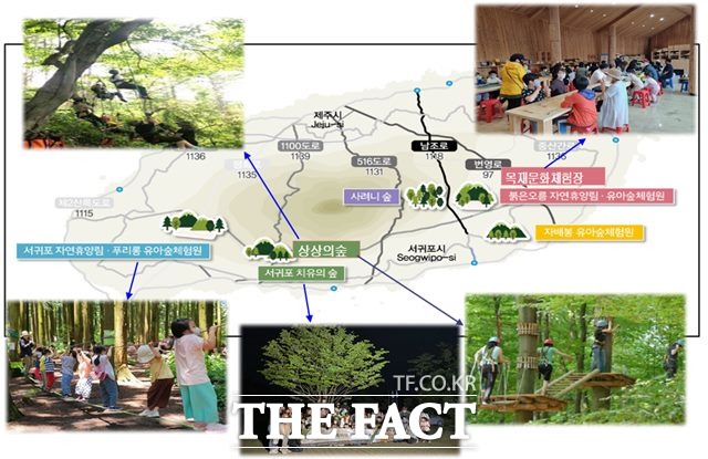 서귀포시는 내년부터 어린이 숲 체험 프로그램인 상상의 숲을 운영할 계획이다.