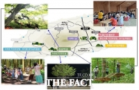  서귀포시, 내년 산림교육프로그램 '상상의 숲' 운영