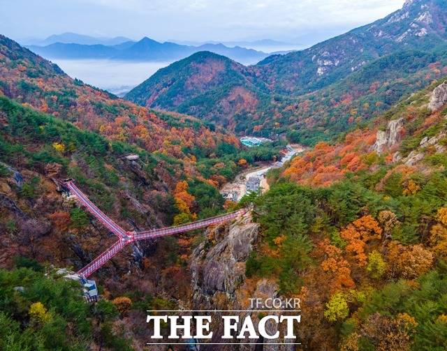 거창 Y자형 출렁다리/거창군 제공