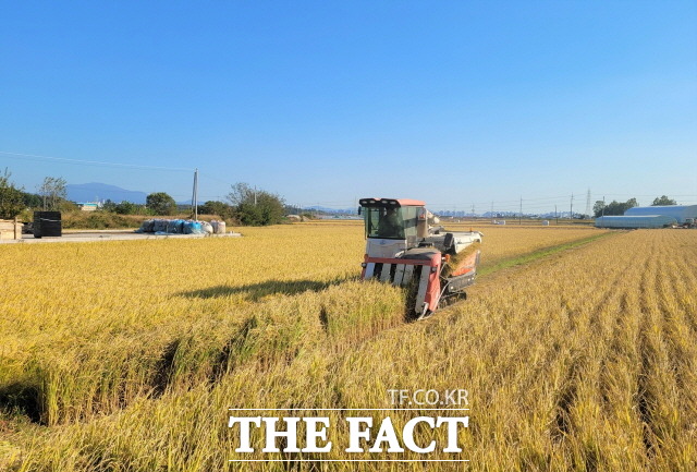 장성군은 2022년산 정부보급종을 공급받는 지역 농업인에게 내년도 벼 정부보급종 구입비를 포대 당 1만원 지원한다고 14일 밝혔다./장성군 제공