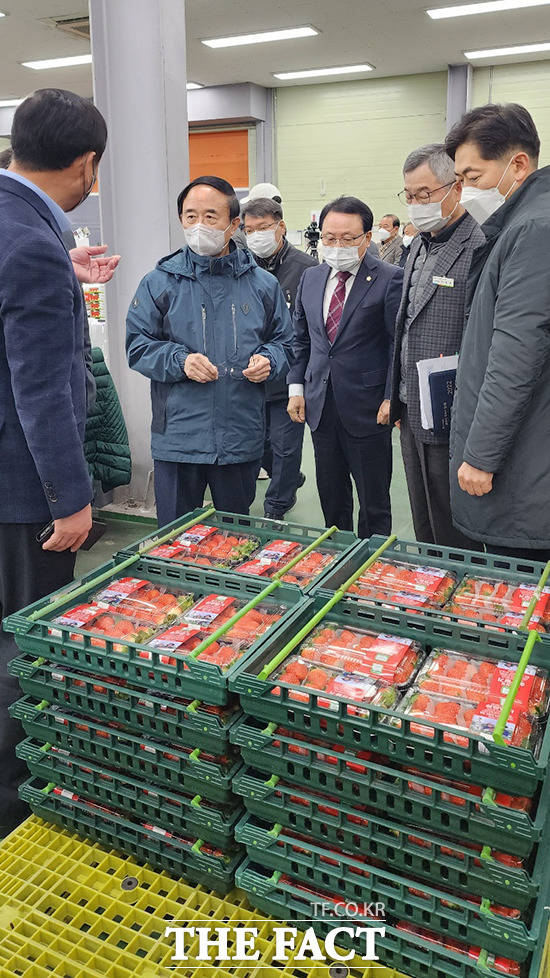 군은 15일 임실N딸기 출하식을 가졌다. /사진=임실군 제공