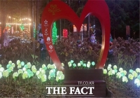  장흥군 편백숲 우드랜드, ‘빛의 정원’ 새 단장 나서