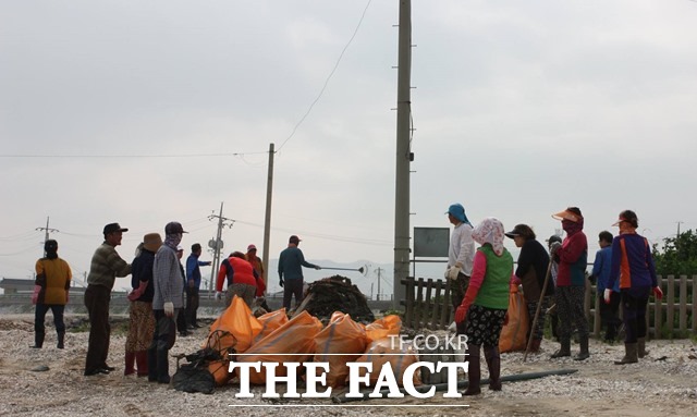 고창군 심원면 만돌마을 주민들이 바닷가 인근에서 환경 정화작업을 하고 있다. /만돌마을 주민 제공