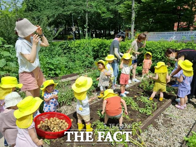여러 어린이집을 모아 운영하는 서울형 모아어린이집에 대해 부모와 원장, 교사 모두 만족도가 증가한 것으로 나타났다. /서울시 제공