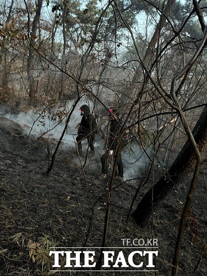 성주군 선남면의 한 야산에서 불이 나 산림당국이 진화중이다./성주산림대책본부 제공
