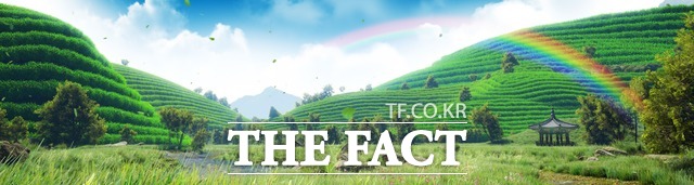 한국 차 박물관 미디어아트 보성 차밭의 사계 / 전남정보문화산업진흥원 제공