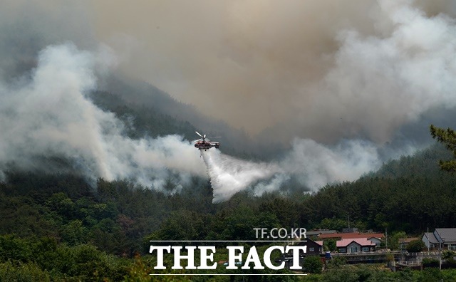 산림청은 23일 강원 동해안지역에 산불재난 위기 경보 관심 단계를 발령했다. / 산림청 제공