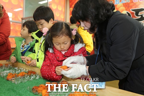 지난 영동곶감축제 모습. /영동군 제공.