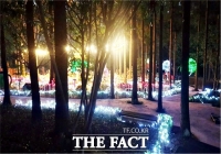  장흥 우드랜드, 문체부 '웰니스 관광지' 4회 연속 선정돼