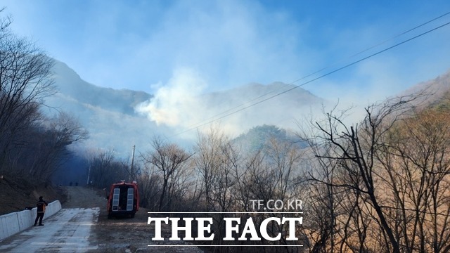 3일 오후 1시 8분쯤 경북 영덕군 달산면 봉산리의 한 야산에서 하얀 연기가 치솟고 있다./산림청 제공