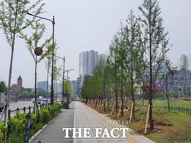 충남천안시가 13개 구간의 도시람길숲 조성을 완료했다. 물총새공원 주변으로 조성된 도시 바람길 숲 모습. / 천안시 제공