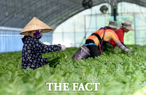 전북 장수군이 농림식품부가 주관한 공공형 계절근로사업에 선정됨에 따라 4월 초 농번기에 맞춰 30명의 외국인 계절근로자를 도입할 계획이다. /장수군 제공