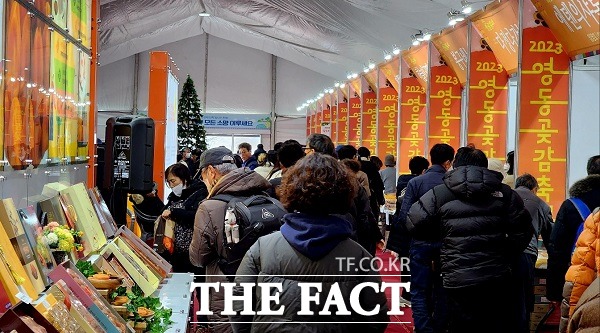 곶감 전시 판매장. 관람객들이 전시된 곶감들을 보고 있다. /영동=이주현 기자.