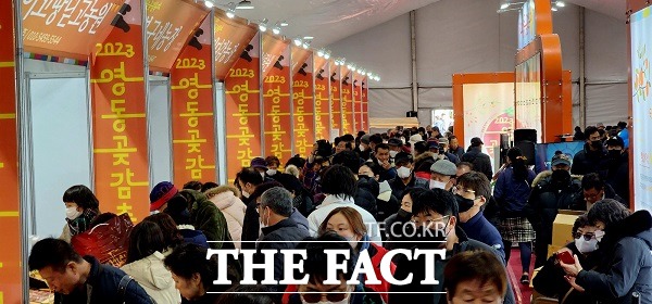 곶감 전시 판매장. 관람객들이 전시된 곶감들을 보고 있다. /영동=이주현 기자.