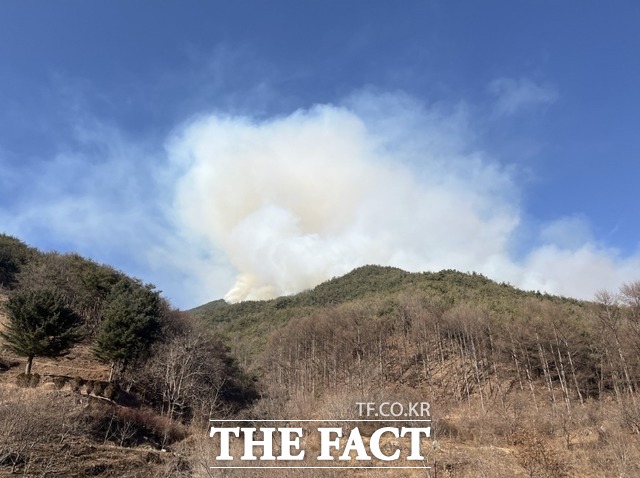 성주군 가천면 금봉리의 야산에서도 불이 나 연기가 치솟고 있다/경북소방본부 제공