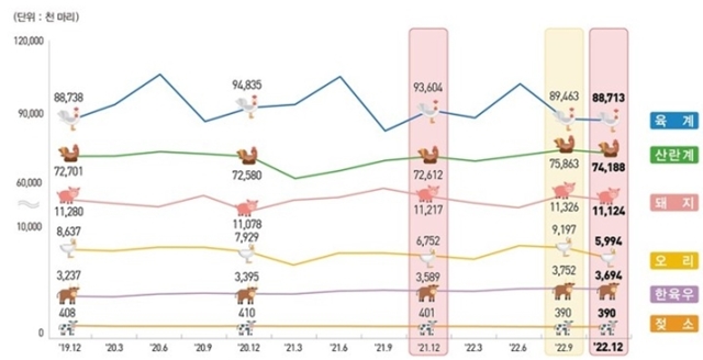 지난해 4분기 육계 사육 마릿수는 8871만3000마리로 전년보다 489만 마리(-5.2%) 줄었다. 사진은 2022년 4분기 가축동향 표. /통계청 제공