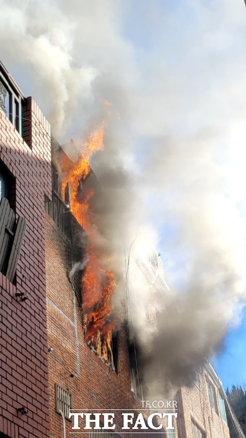 25일 오후 3시 7분쯤 부산시 남구 문현동에 있는 4층짜리 빌라 3층에서 70대 A 씨가 숨졌다./부산경찰청 제공.