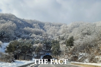  [오늘의 날씨] 울릉도 최대 20㎝…전국 곳곳 눈 소식