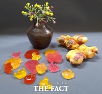  충남도, 생강 착즙박 활용한 젤리 선보여