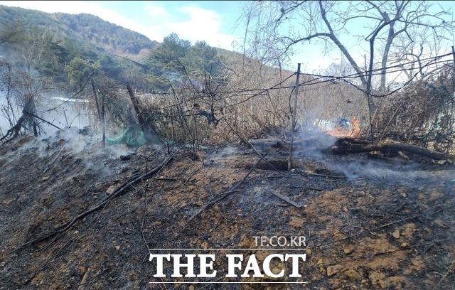 28일 오전 11시 42분 대구 달성군 가창면 냉천리의 한 임야에서 연기가 나고 있다/대구소방안전본부 제공