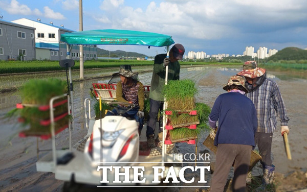 공주시는 기본형 공익직불금 등록 신청을 받는다. / 공주시청 제공