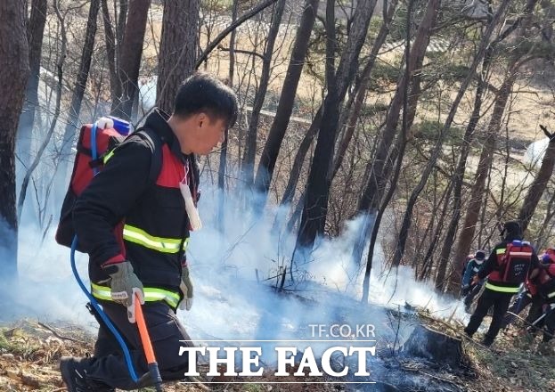 31일 오전 11시 49분 강원도 동해시 심곡동 산33 일원에서 산불이 발생, 45분만이 12시 34분 주불진화를 완료했다./산림청