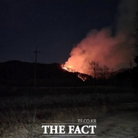 울진 야산서 불…1명 부상, 400여만원 재산피해