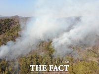  김천 야산서 불…산림 0.033ha 소실