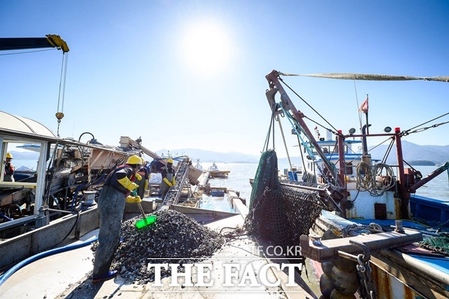 강진만 청정어장 재생사업 추진 / 남해군