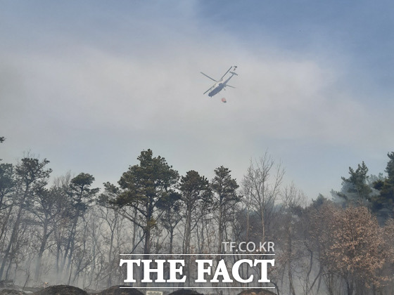 영천시 북안면의 한 야산에서 불이 나 소방 및 산림당국이 헬기를 동원해 진화중이다/경북소방본부
