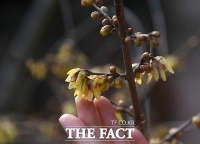  [오늘의 날씨] 연일 맑고 포근…오후부터 미세먼지 '보통'